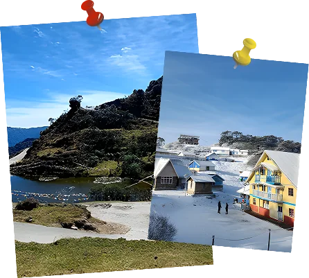 Red Panda photography tour India